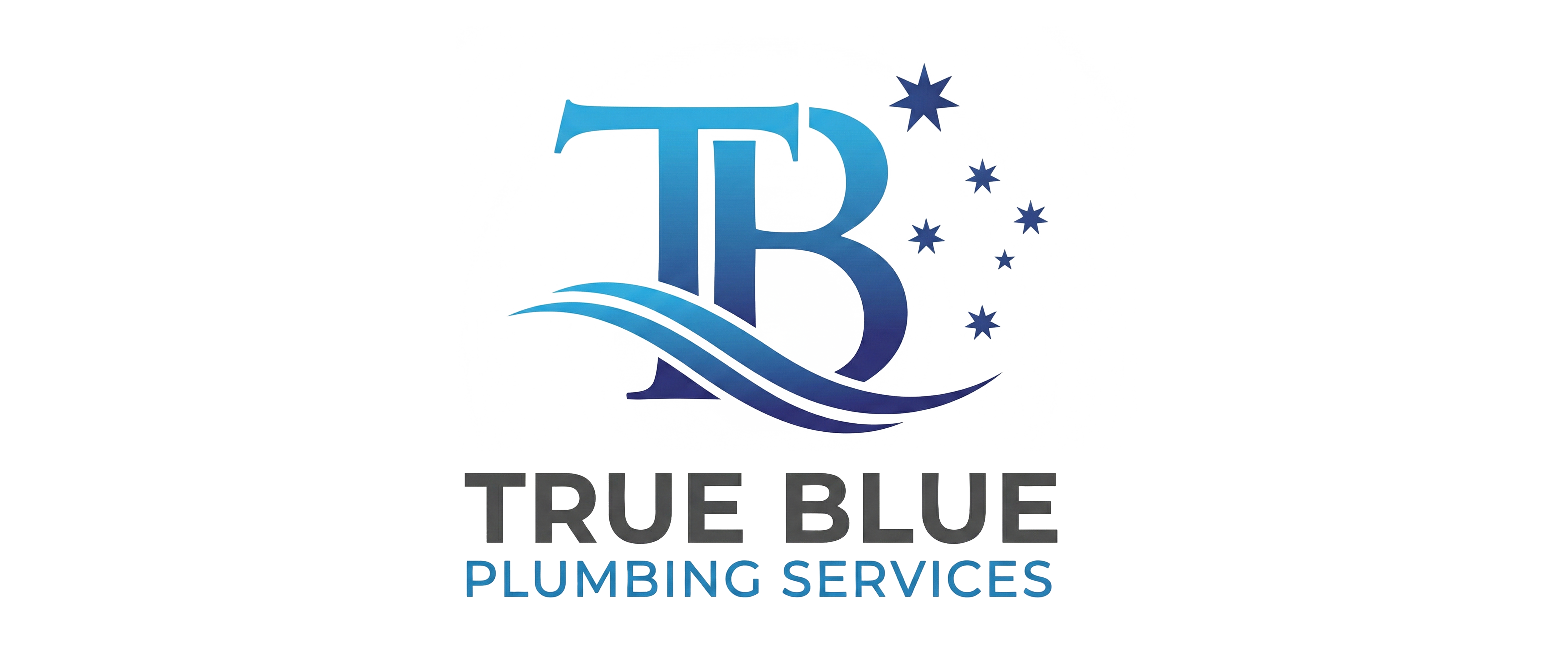 True Blue Plumbing Services